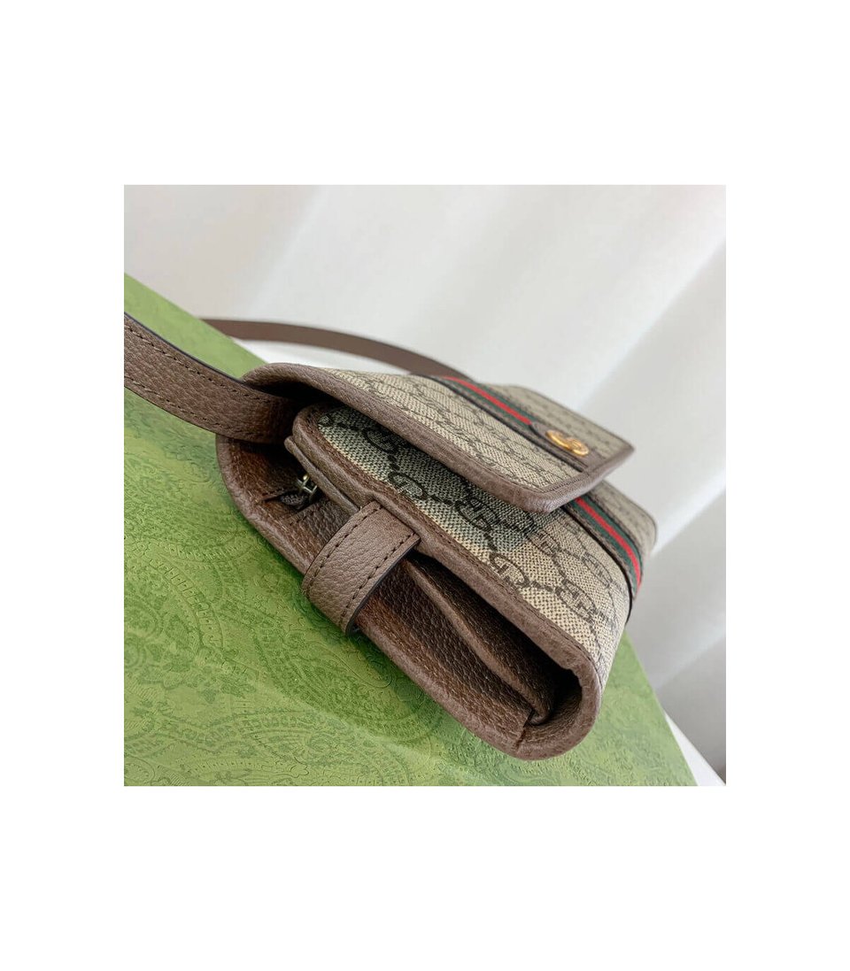 Gucci Ophidia Mini Bag view 7