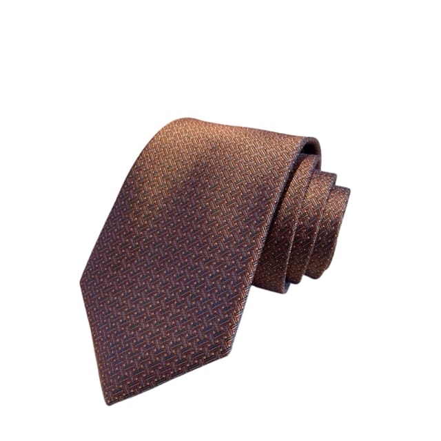 Hermes Pattern Canvas Tie For Men