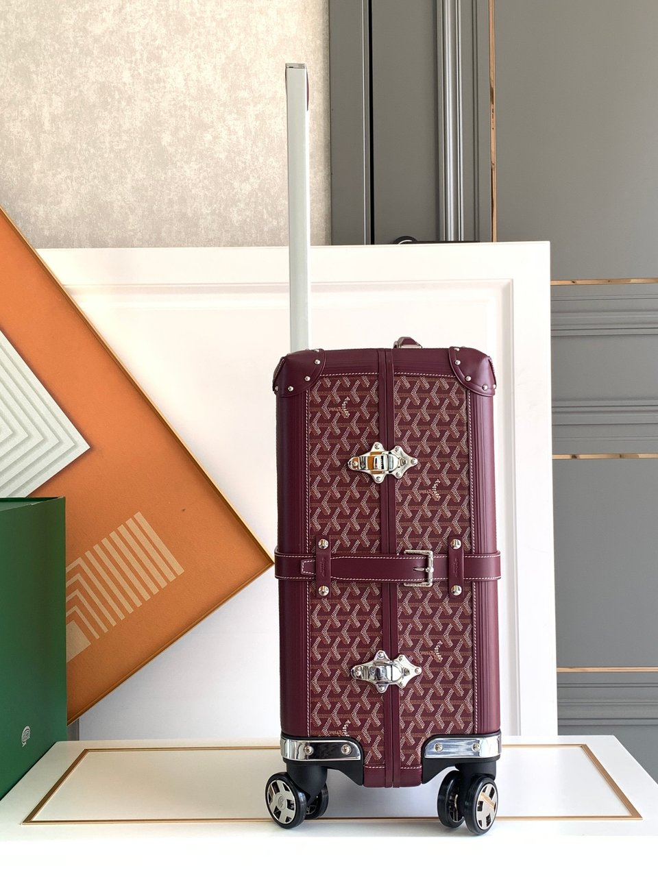 Goyard 50cm view 8