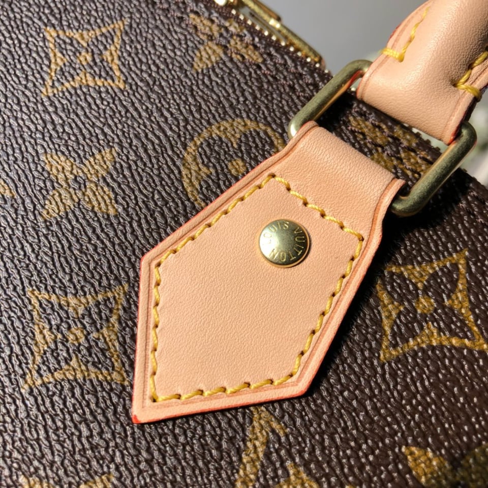 Louis Vuitton Alma Pm 32Cm view 8
