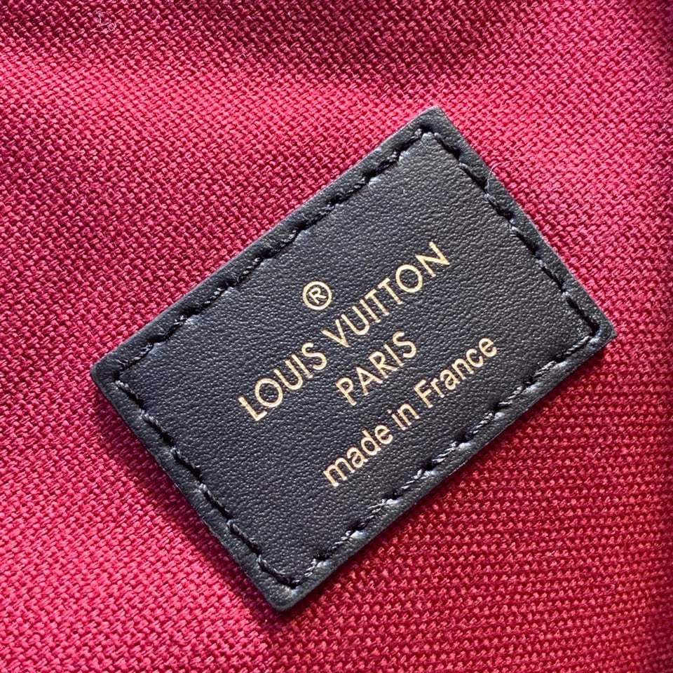 Louis Vuitton Montsouris Pm 27Cm M45515 view 9