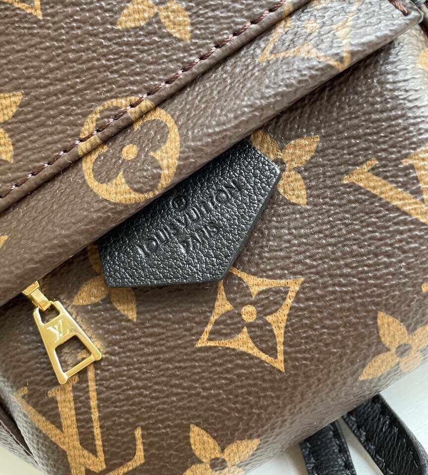 Louis Vuitton Palm Springs Backpack Mini Monogram Canvas – 17cm/6.7in view 18