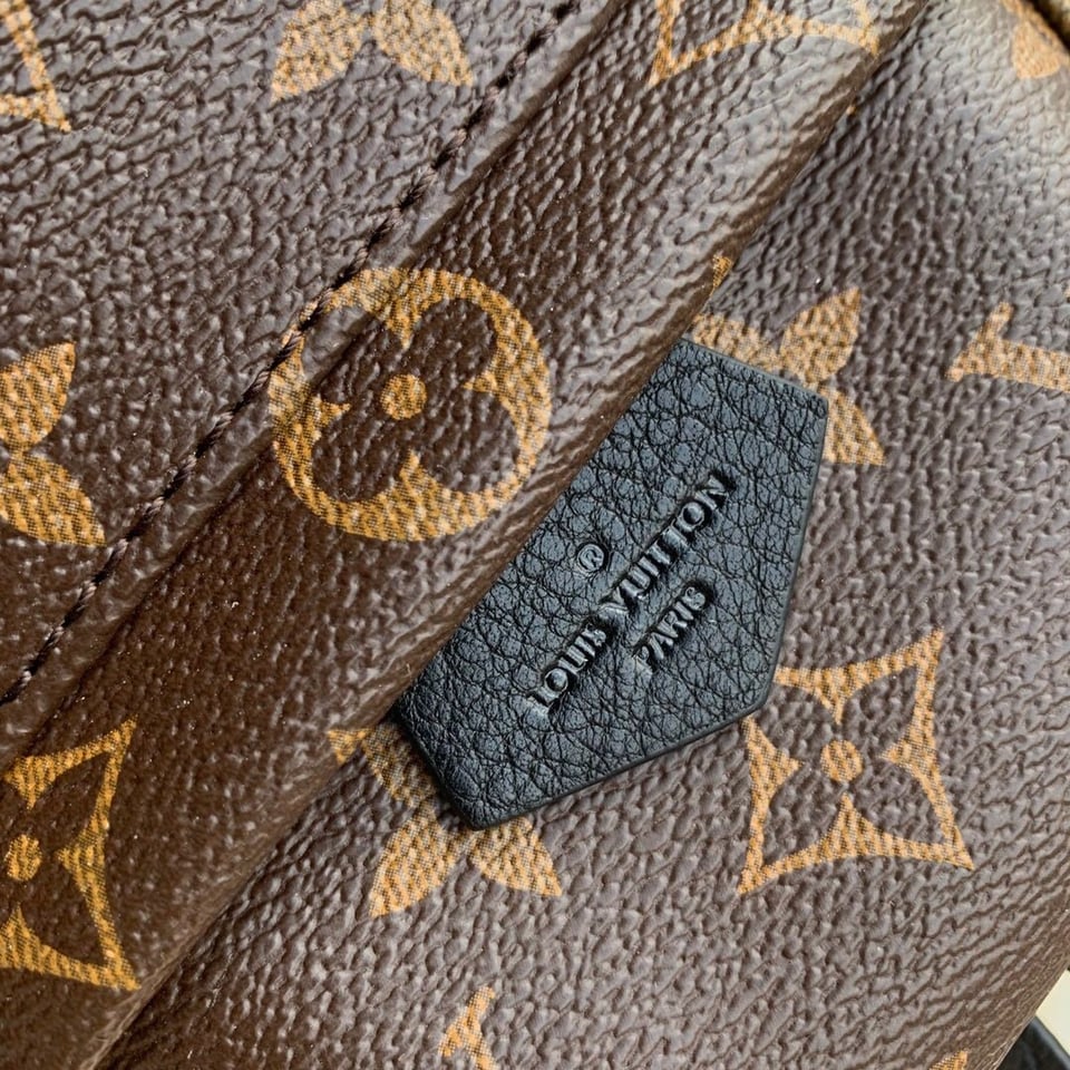 Louis Vuitton Palm Springs Backpack PM Monogram Canvas – 22cm/8.7in view 7