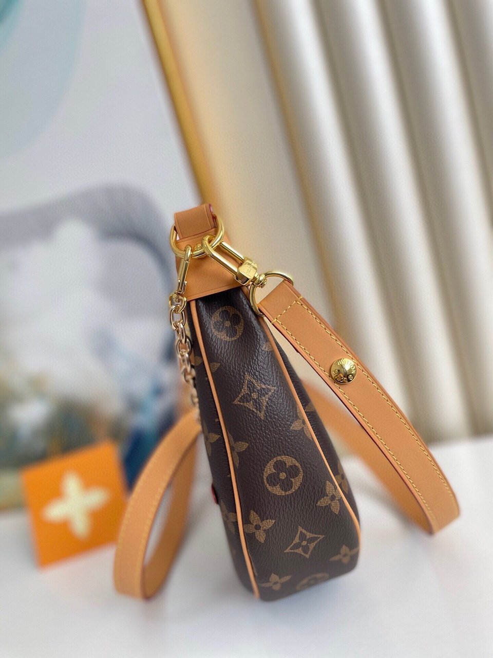 Louis Vuitton Loop Bag Monogram Canvas M81098 23cm/9.1in view 13