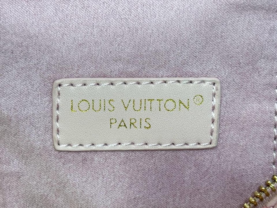 Louis Vuitton Vanity Chain Pouch Light Bliss Cream 19cm M29344 view 10
