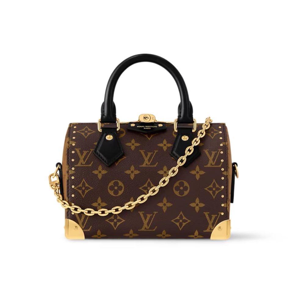 Louis Vuitton Speedy Trunk 20 Monogram Canvas 20Cm M13146 view 2