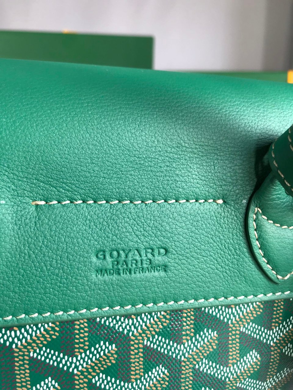 Goyard Alpin Mini Backpack 21 Cm Green Lambskin And Goyardine Canvas view 10