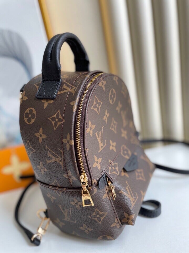 Louis Vuitton Palm Springs Backpack Mini Monogram Canvas – 17cm/6.7in view 16