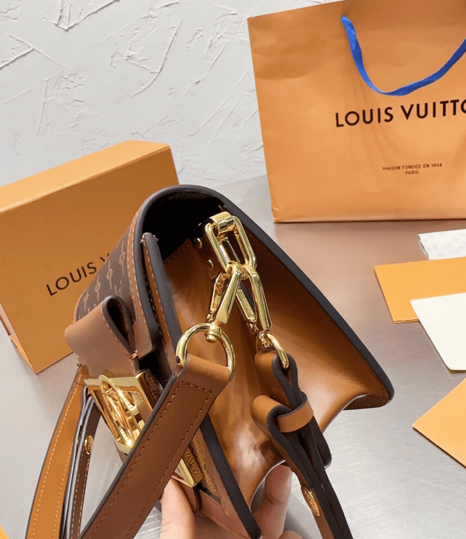 Louis Vuitton Mini Dauphine Lock Xl Brown 20Cm M46537 view 10
