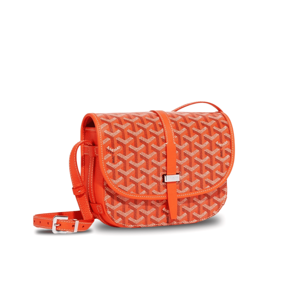 Goyard Belvedere Pm Bag 21Cm Orange Canvas view 2