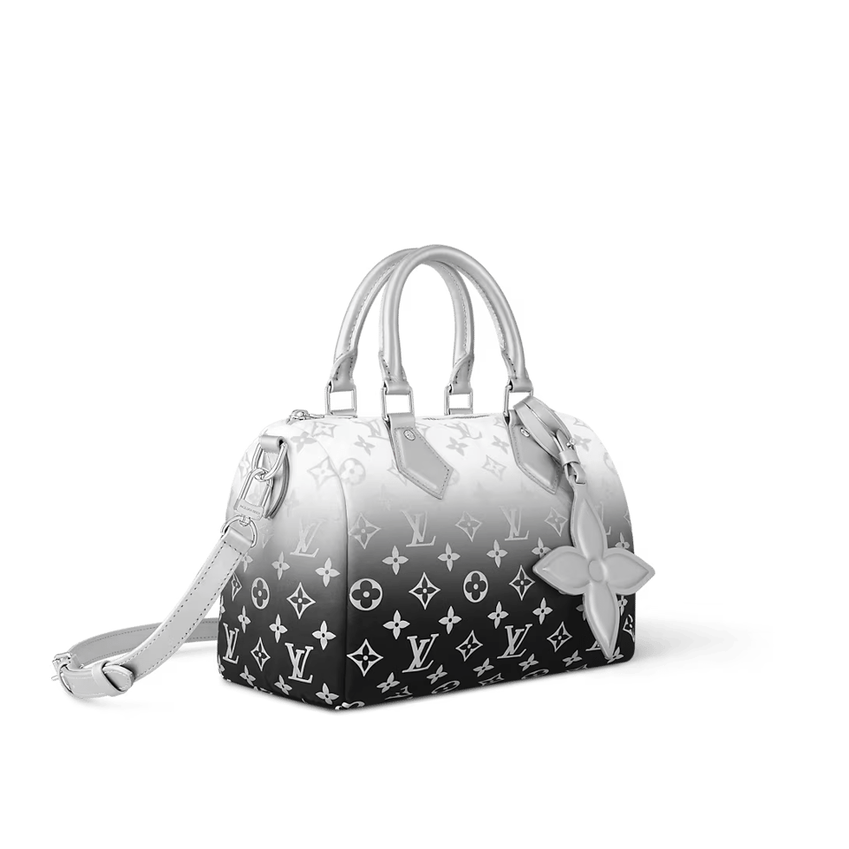 Louis Vuitton Speedy Bandouliere 25 Frost Gardiant Silver 25cm M11848 view 7