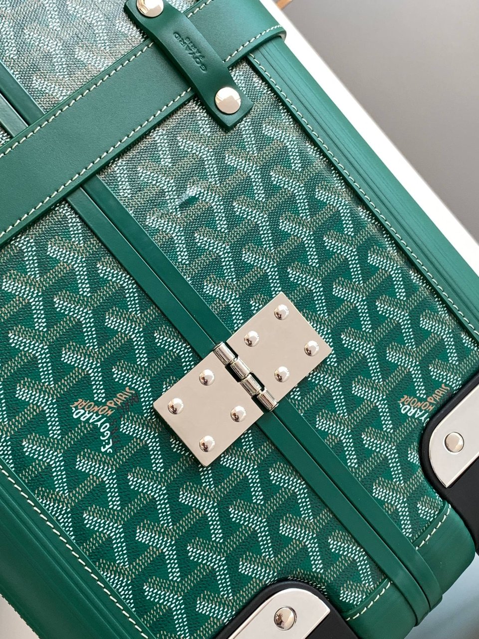 Goyard 50cm view 6