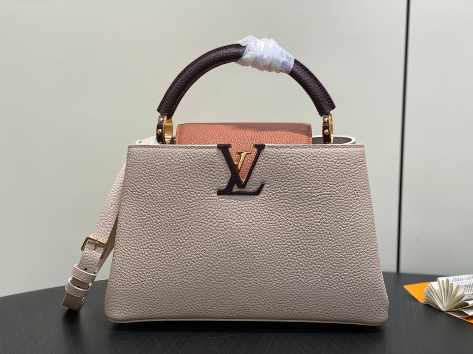 Louis Vuitton Capucines MM M12956 Gray 31.5cm/ 12.2in view 6