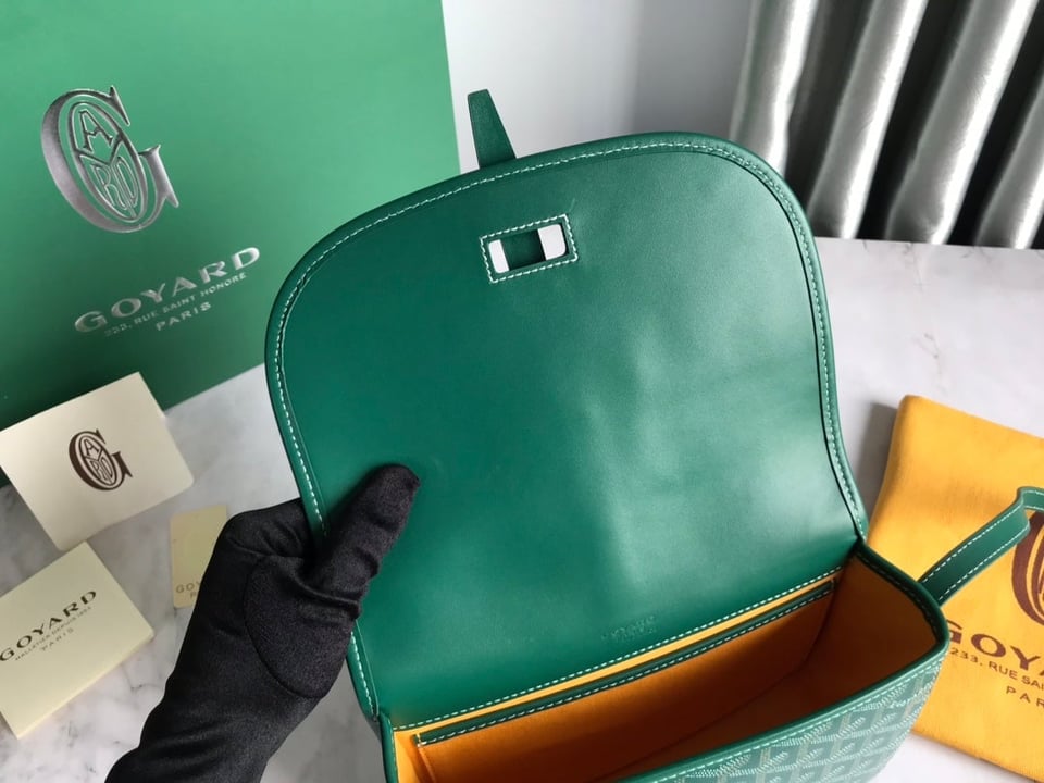 Goyard Belvedere Pm Bag 21Cm Green Canvas view 10