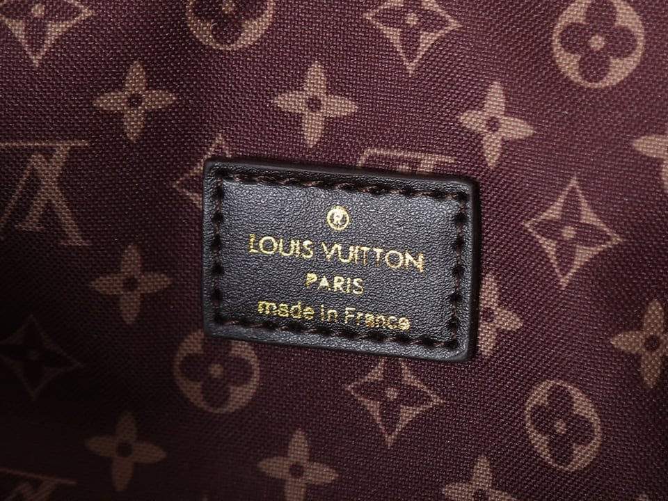 Louis Vuitton LV Biker PM Bag Hazelnut Color 30cm M26640 view 7