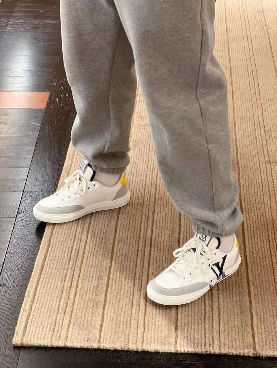 Louis Vuitton Charlie Sneaker 1A9Jlt view 14
