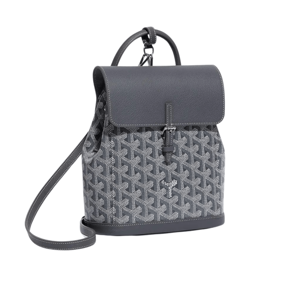Goyard Alpin Mini Backpack 21 Cm Gray Lambskin And Goyardine Canvas view 2