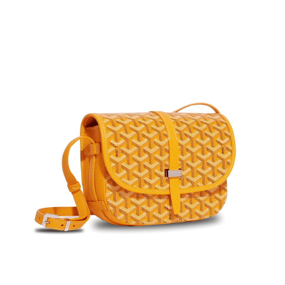 Goyard Belvedere Pm Bag 21Cm Yellow Canvas view 2