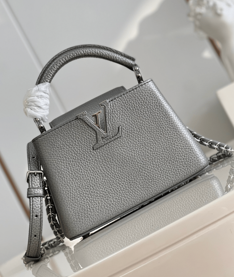 Louis Vuitton Capucines Gray 21Cm view 6