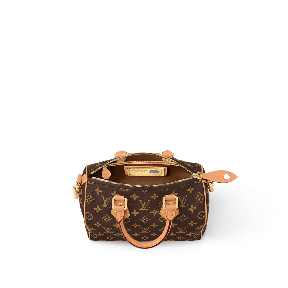 Louis Vuitton Speedy P9 Bandoulière 25 M24443 view 5