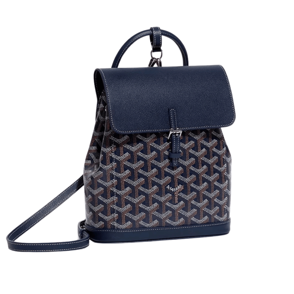 Goyard Alpin Mini Backpack 21cm Navy Blue Lambskin And Goyardine Canvas view 2