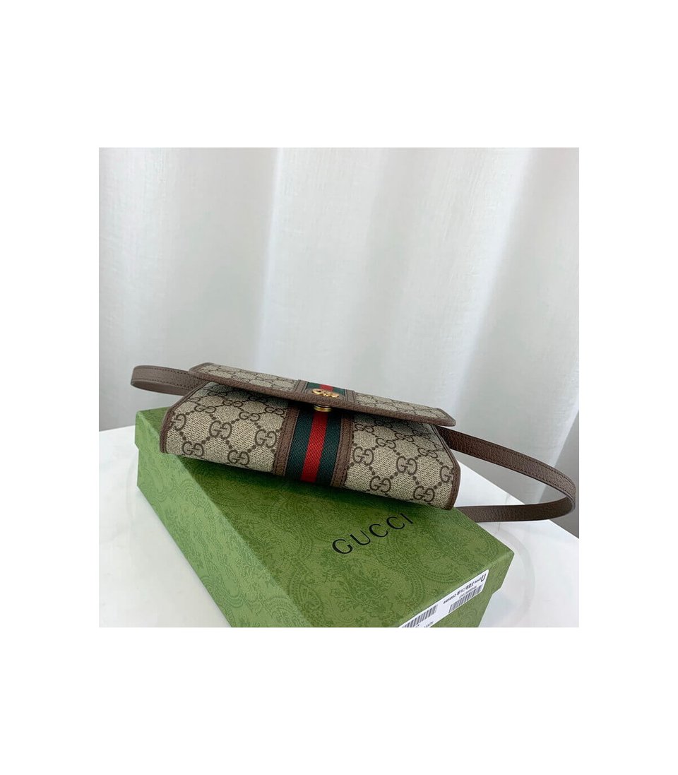 Gucci Ophidia Mini Bag view 6