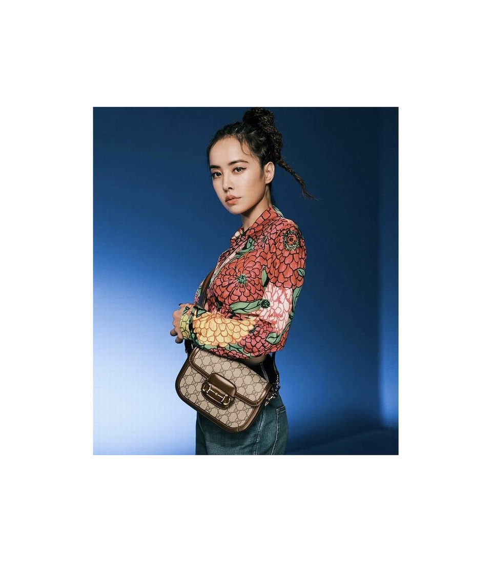Gucci Horsebit 1955 Mini Bag in GG Supreme Brown view 3