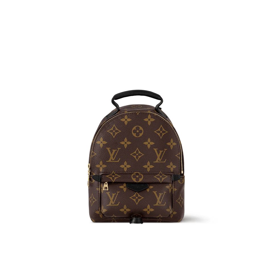 Louis Vuitton Palm Springs Backpack Mini Monogram Canvas – 17cm/6.7in view 2
