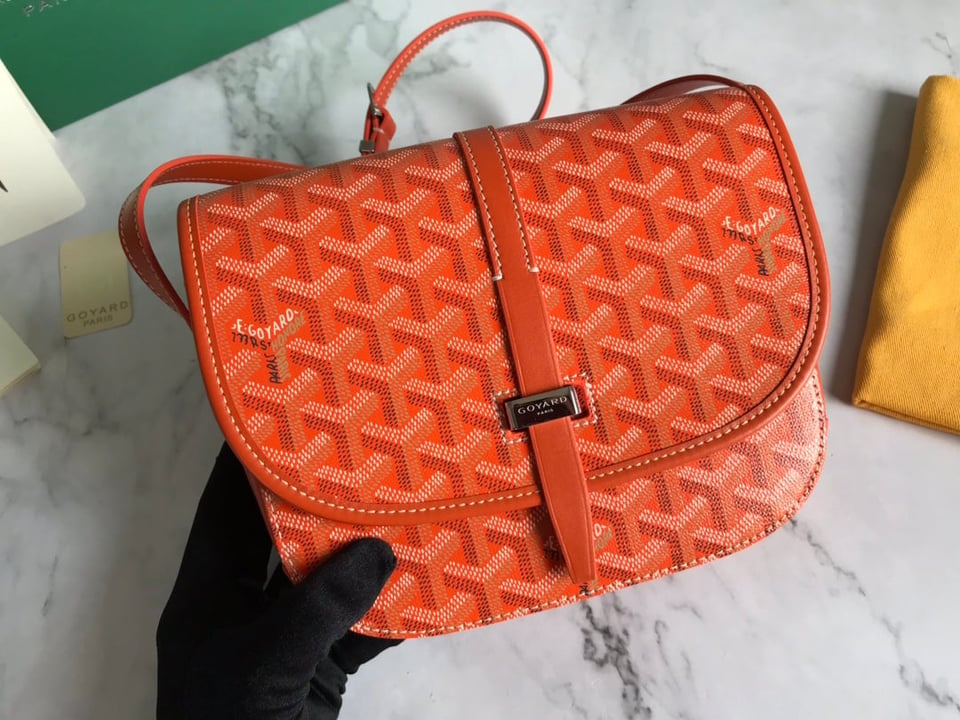 Goyard Belvedere Pm Bag 21Cm Orange Canvas view 6