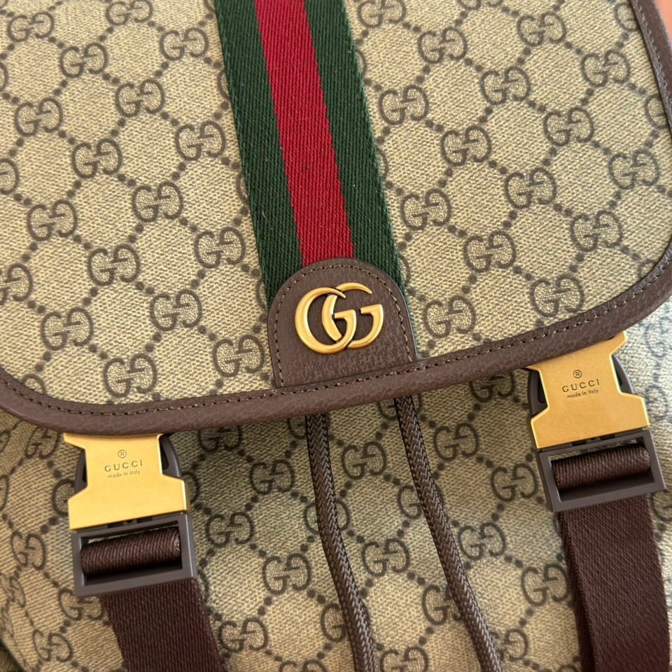 Gucci Ophidia Large Backpack 839110 Beige And Dark Brown 35cm/13.8in view 5