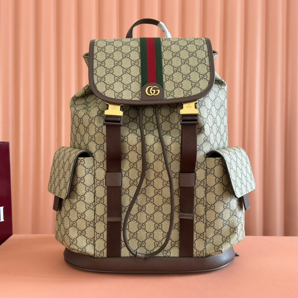 Gucci Ophidia Large Backpack 839110 Beige And Dark Brown 35cm/13.8in view 2