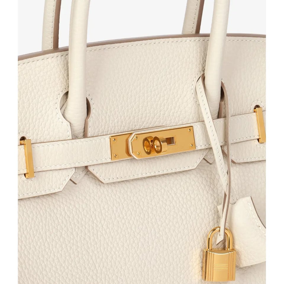 Hermes Birkin 25Cm White Togo Leather Gold Hardware 237490 view 6