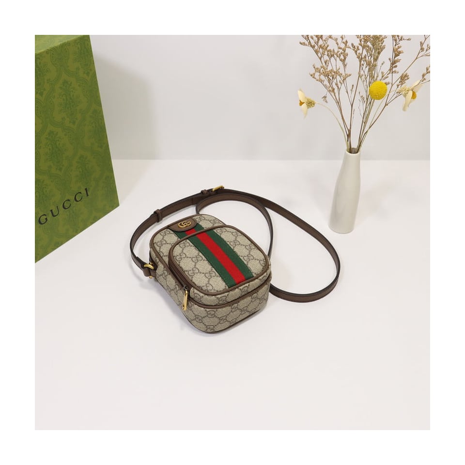 Gucci Ophidia Mini Bag Coffee view 12