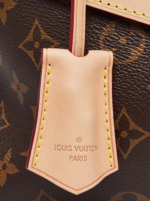 Louis Vuitton Flower Zipped Tote PM 25cm M44351 view 8