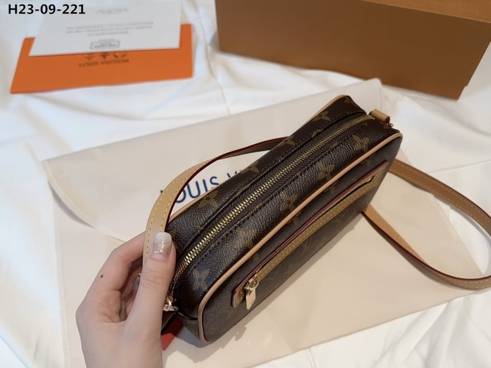 Louis Vuitton Pochette Cite Pm Monogram Canvas 22Cm view 6
