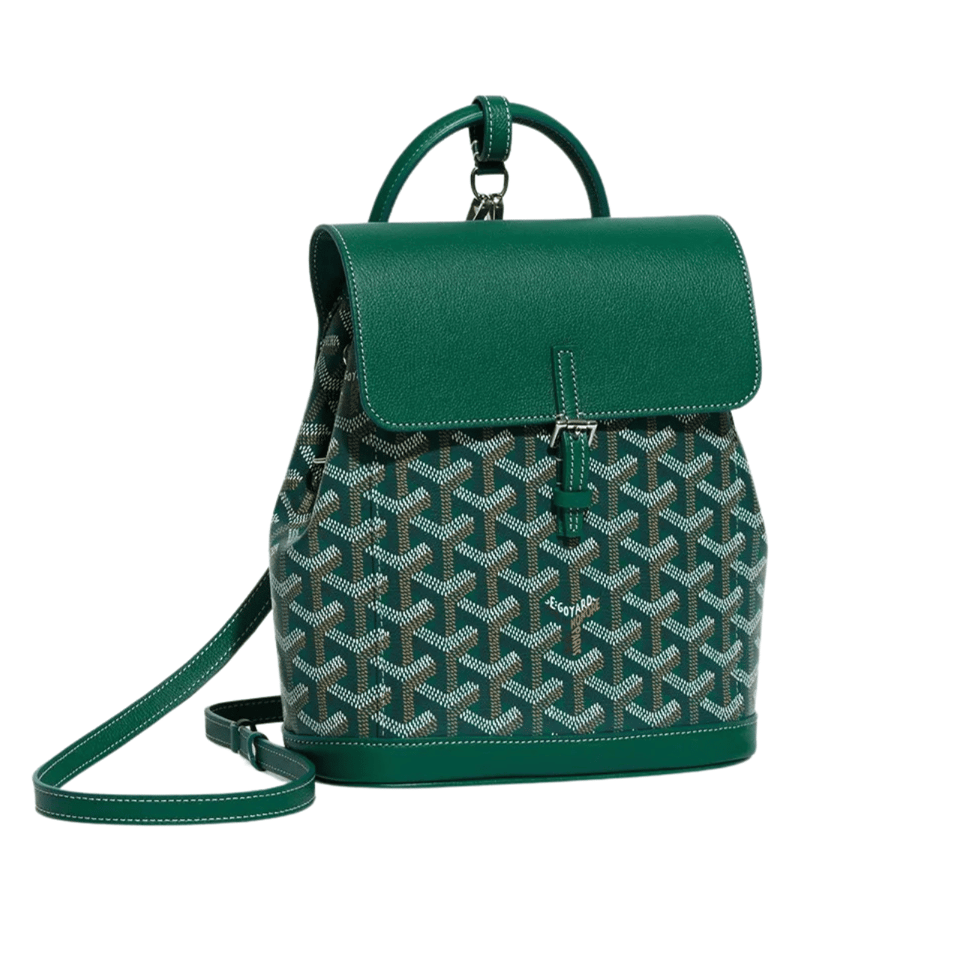 Goyard Alpin Mini Backpack 21 Cm Green Lambskin And Goyardine Canvas view 2