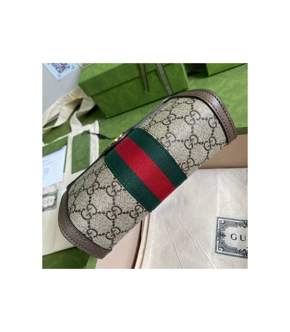 Gucci Ophidia Mini Shoulder Bag view 7