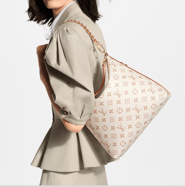 Louis Vuitton Multipass Monogram Dune Canvas Material 30cm M2A078 view 2