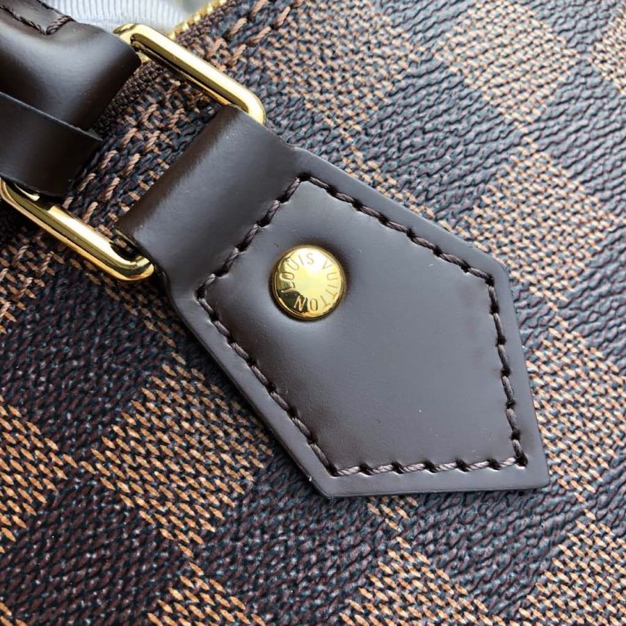 Louis Vuitton Alma Pm Damier Ebene view 5