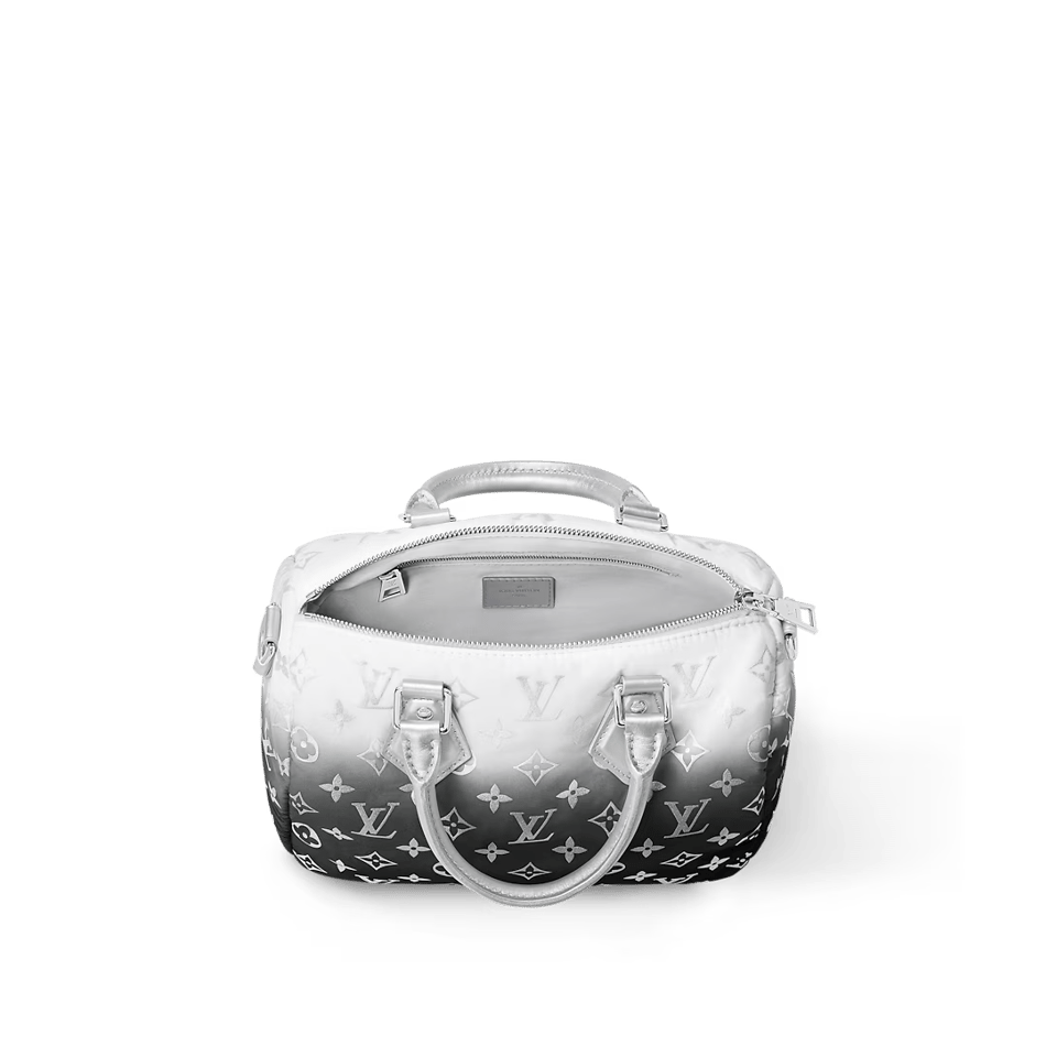 Louis Vuitton Speedy Bandouliere 25 Frost Gardiant Silver 25cm M11848 view 6