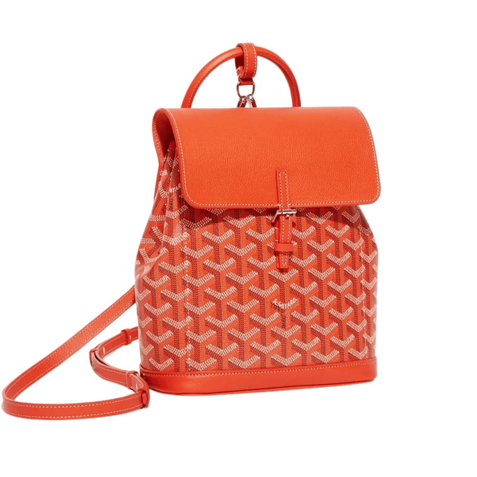 Goyard Alpin Mini Backpack 21 Cm Orange Lambskin And Goyardine Canvas view 2