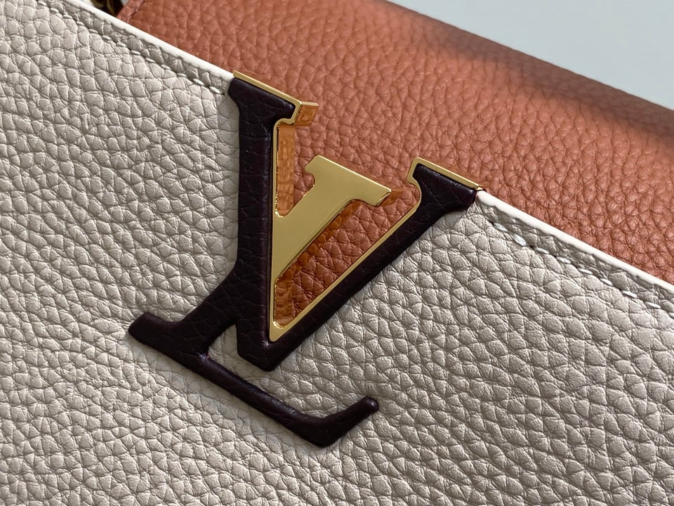 Louis Vuitton Capucines MM M12956 Gray 31.5cm/ 12.2in view 10