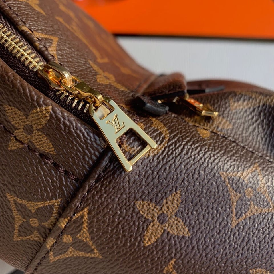 Louis Vuitton Palm Springs Backpack PM Monogram Canvas – 22cm/8.7in view 9