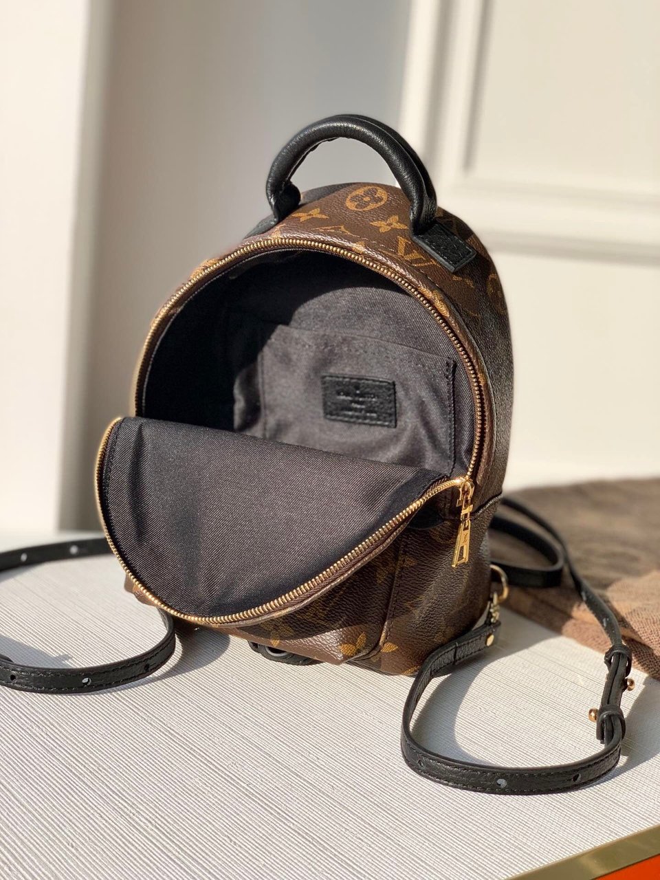 Louis Vuitton Palm Springs Backpack PM Monogram Canvas – 22cm/8.7in view 10