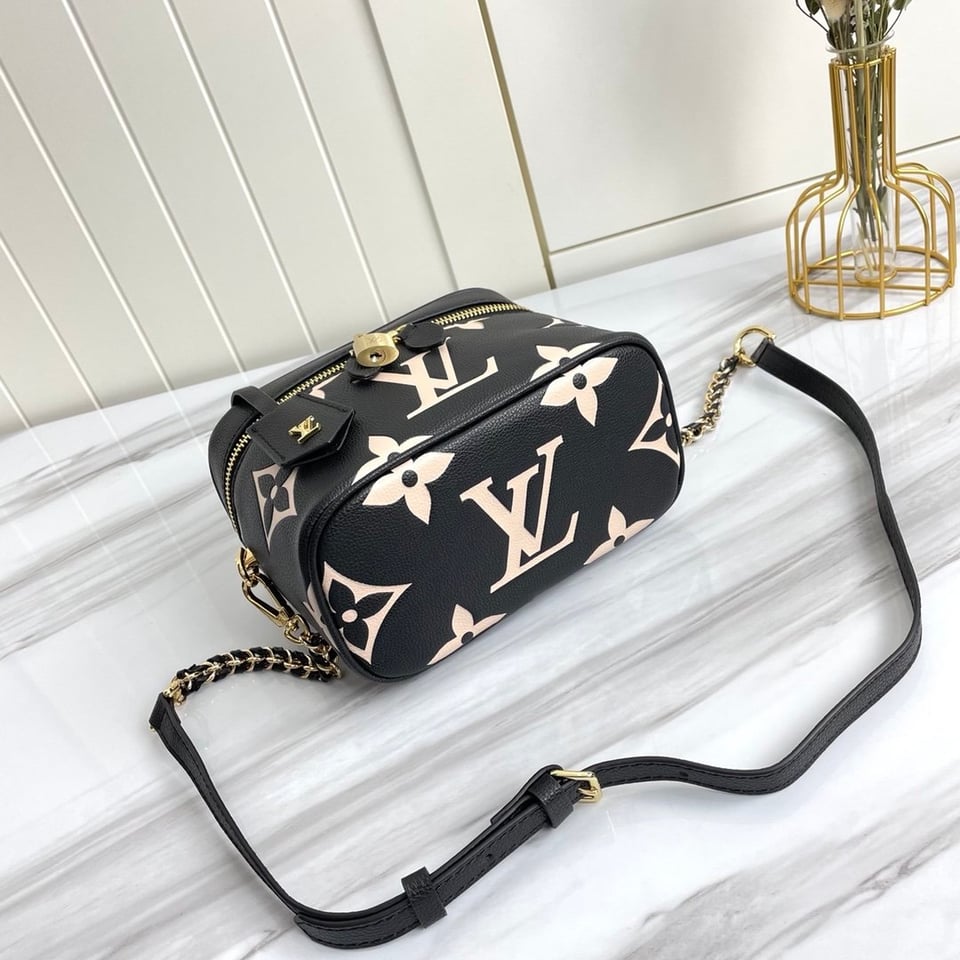 Louis Vuitton Vanity Pm 39Cm view 4