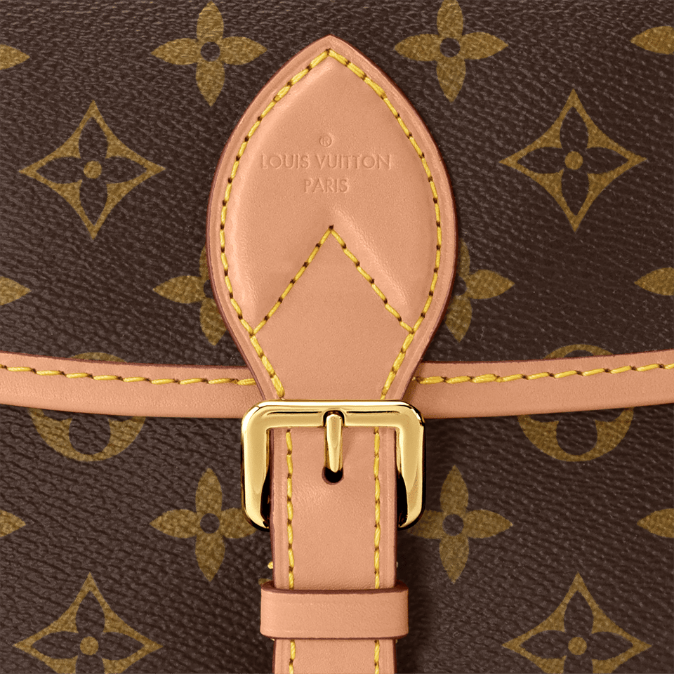 Louis Vuitton Diane Monogram – Women – Handbags Black M45985 24cm/ 9.4in view 10