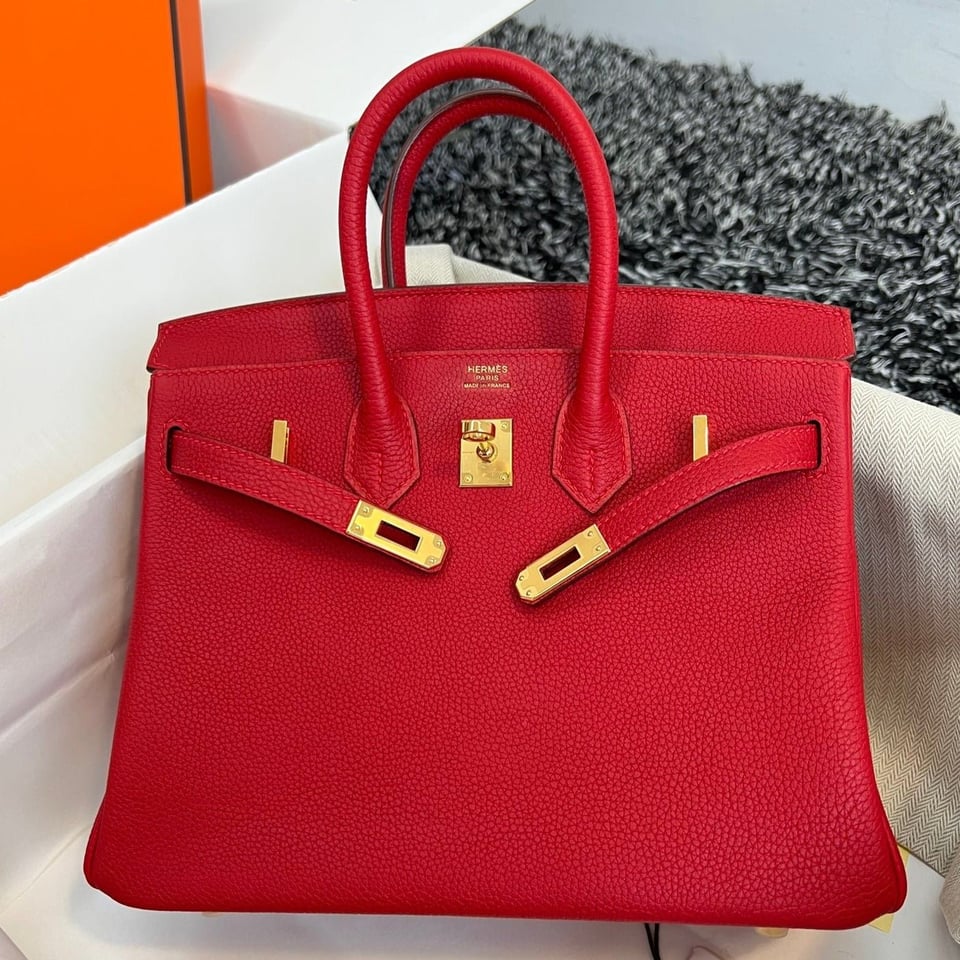 Hermes Birkin 25Cm Red Togo Leather Gold Hardware view 2