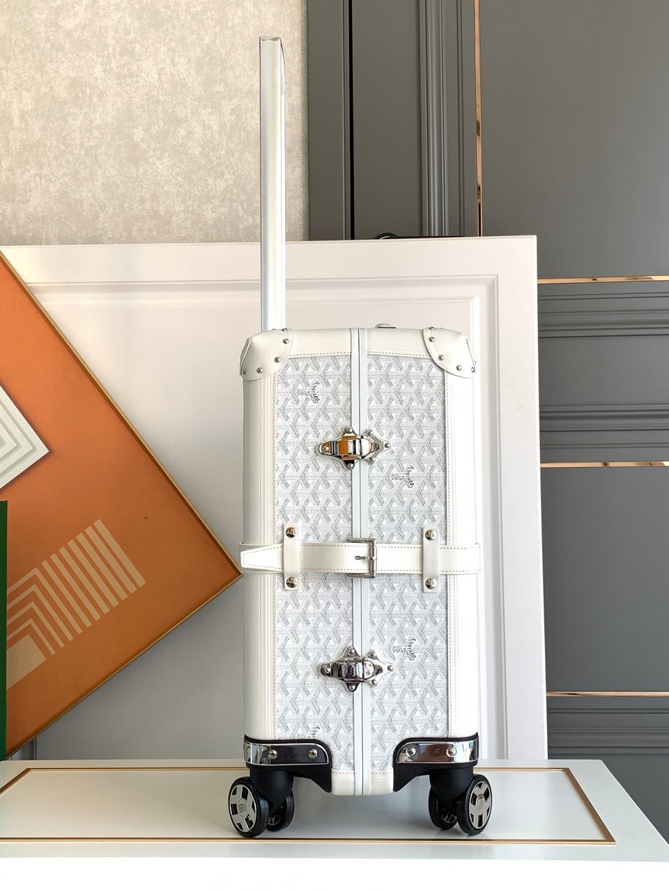 Goyard 50cm view 8