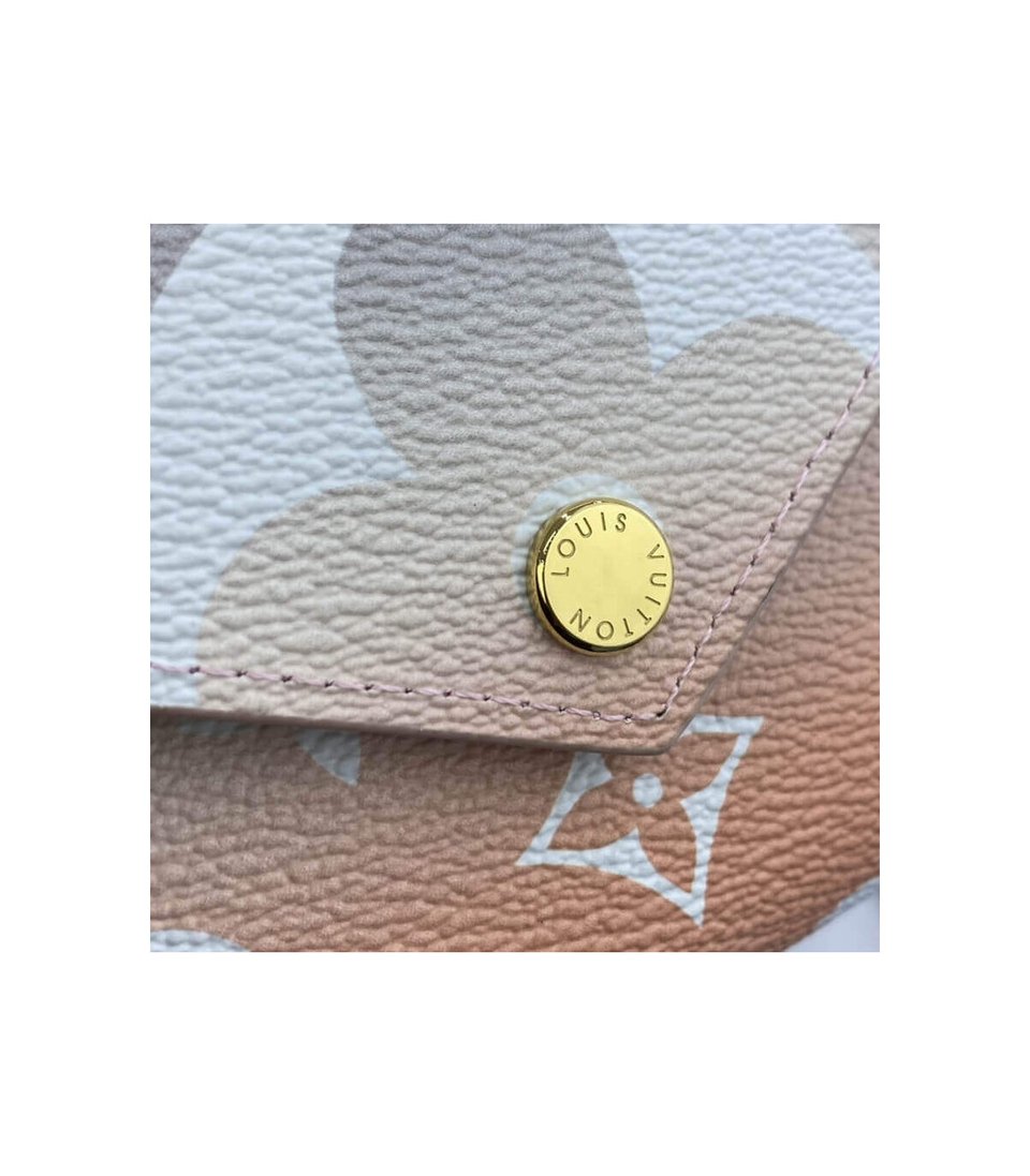 Louis Vuitton Victorine Wallet Mist Gray view 6