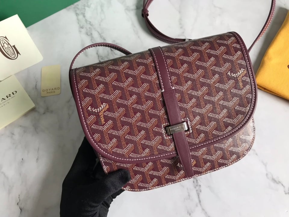 Goyard Belvedere Pm Bag 21Cm Burgundy Canvas view 6